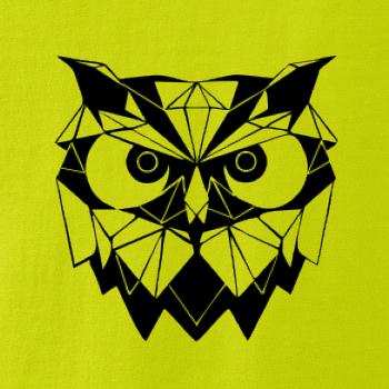 Geometrie - sova zlá