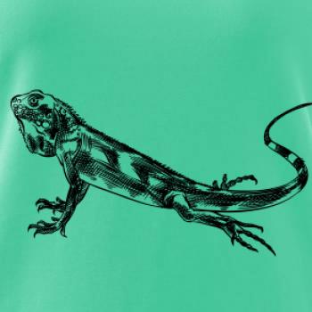 Ceruzkou kreslený Leguán