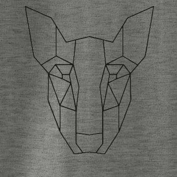 Americký Pit Bull Teriér - Geometria