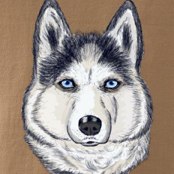 Husky hlava - kreslený Husky hlava - kreslený