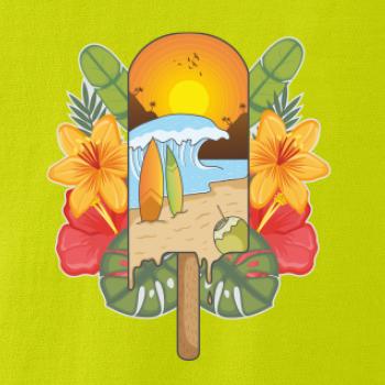 Leto, nanuk, more, pláž