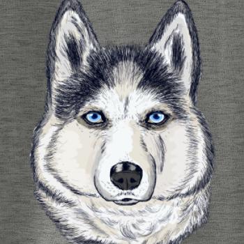 Husky hlava - kreslený Husky hlava - kreslený