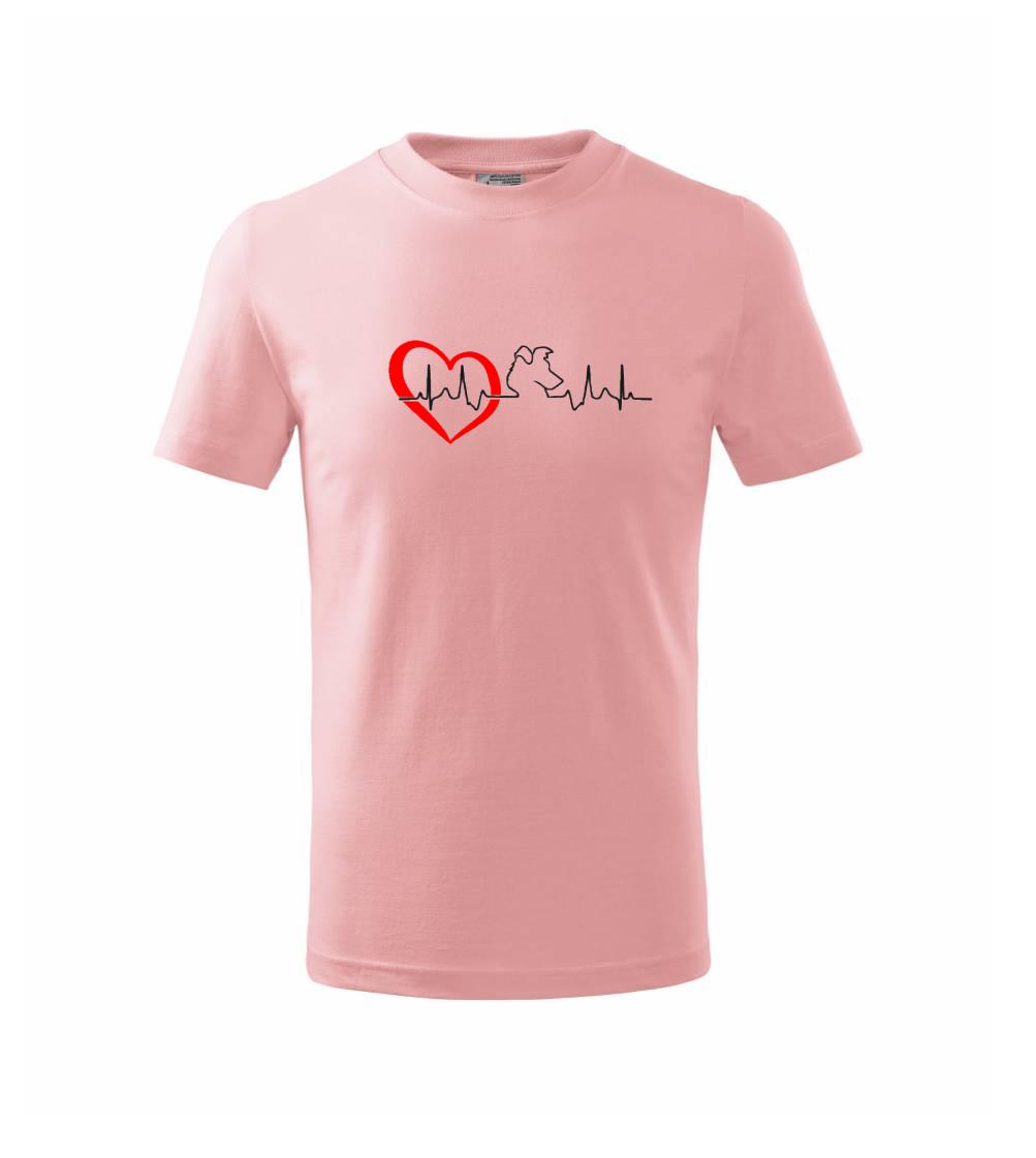 Borderská kólia EKG Borderská kólia EKG