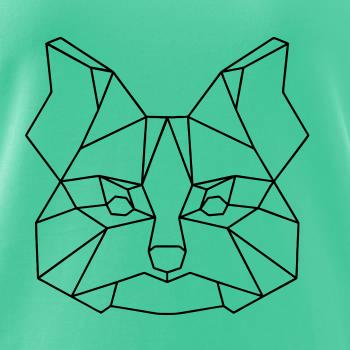 Yorkshirský teriér - Geometria 