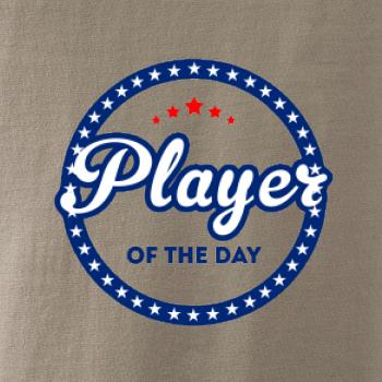 Baseball player of day