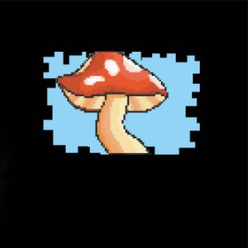 Gamer - stará hra - huba