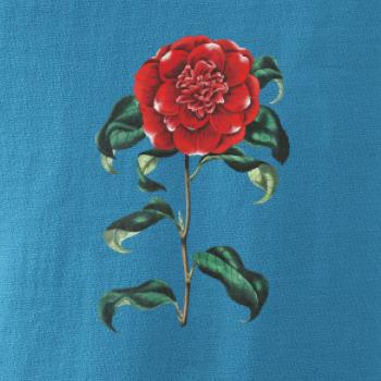 Červená kamélia Červená kamélia