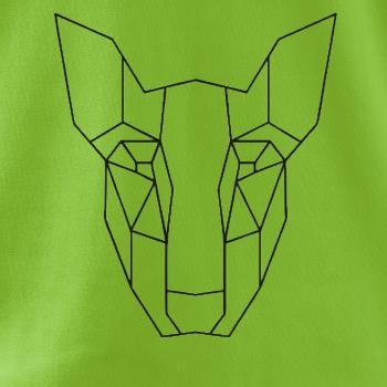 Americký Pit Bull Teriér - Geometria