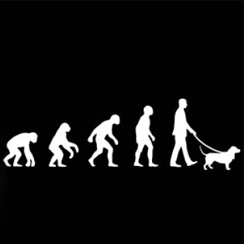 Evolúcia pes baset (muž-žena)