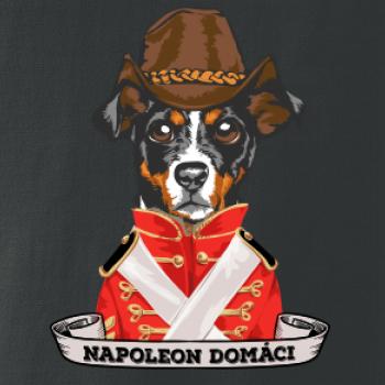 Napoleon domáci kríženec