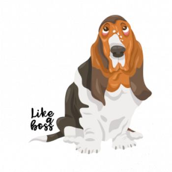 Baset - like a boss Baset - like a boss