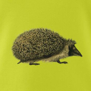 Ježko kresba Ježko kresba