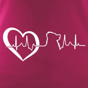 Bernský salašnický pes EKG