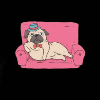 Mops na gauči
