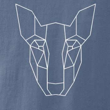 Americký Pit Bull Teriér - Geometria