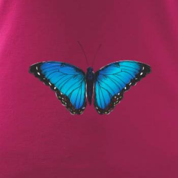 Motýľ Babôčka Morpho Peleides