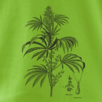 Konope kvietok čiernobiely  