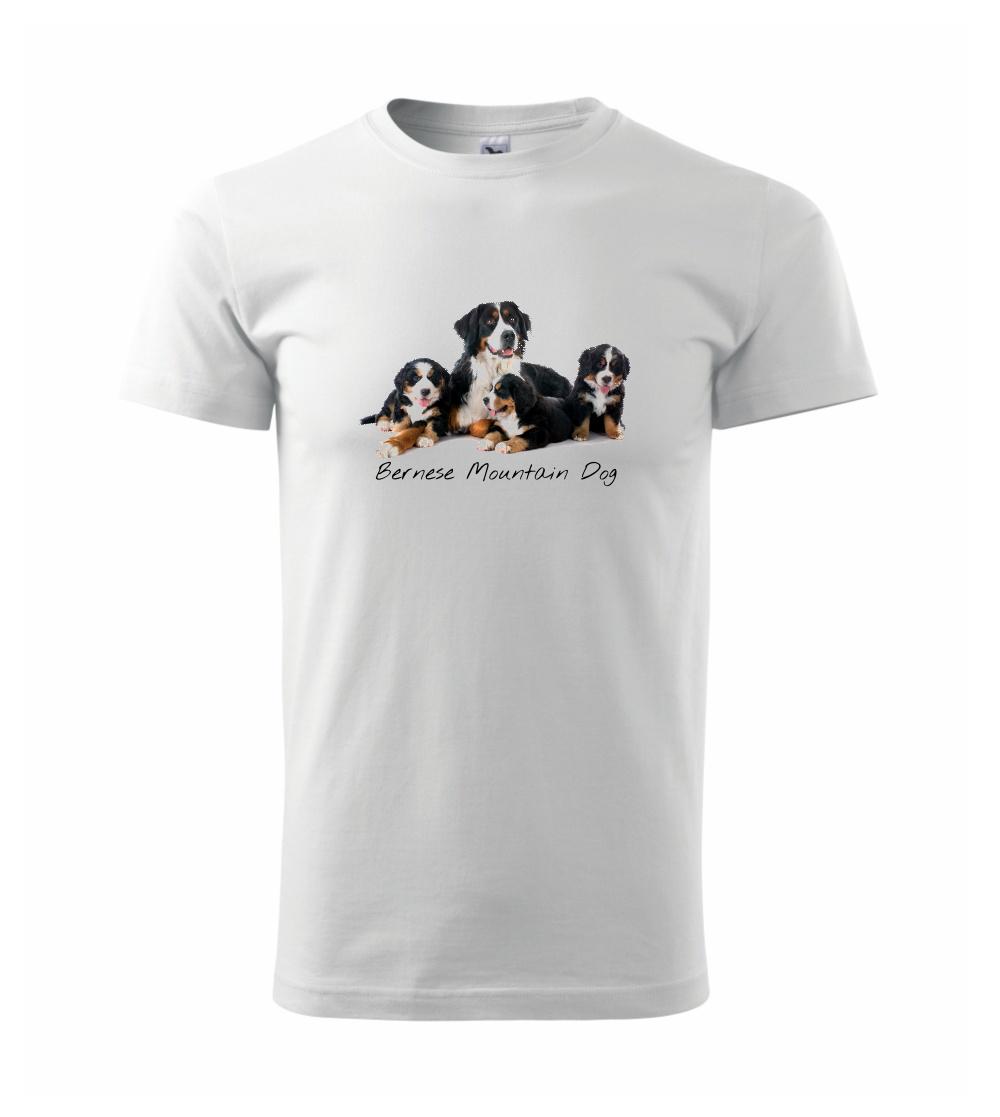 Bernese mountain dog celá rodina Bernese mountain dog celá rodina