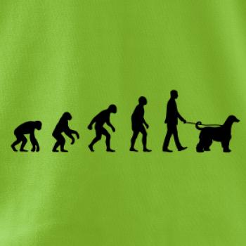 Evolúcia pes afgánsky chrt (muž-žena)
