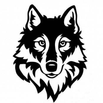 Hlava vlka čiernobiela (Hana-creative) Hlava vlka čiernobiela (Hana-creative)