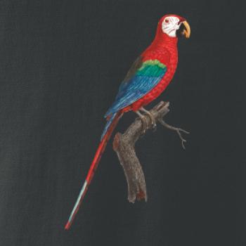 Papagáj červený na vetve