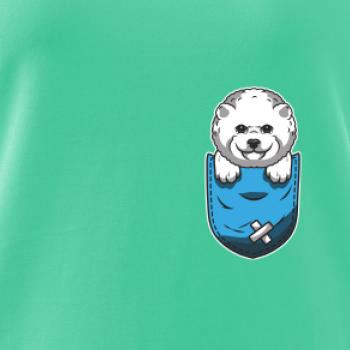 Bišonek v kapsičce