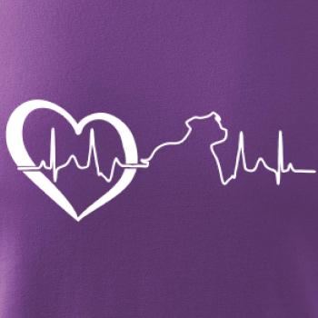 Stafordšírsky bulteriér ‎ EKG