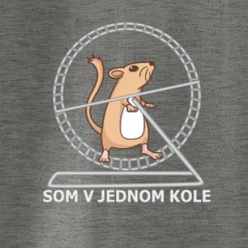 Som v jednom kole