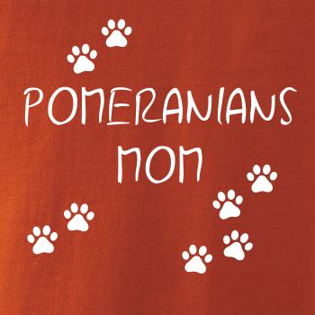 Pomerian mom (Nemecký trpasličí špic)  (Reflexné labky)