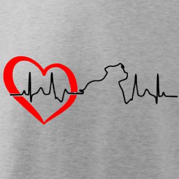 Stafordšírsky bulteriér ‎ EKG