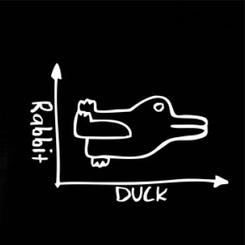 Duck Rabbit