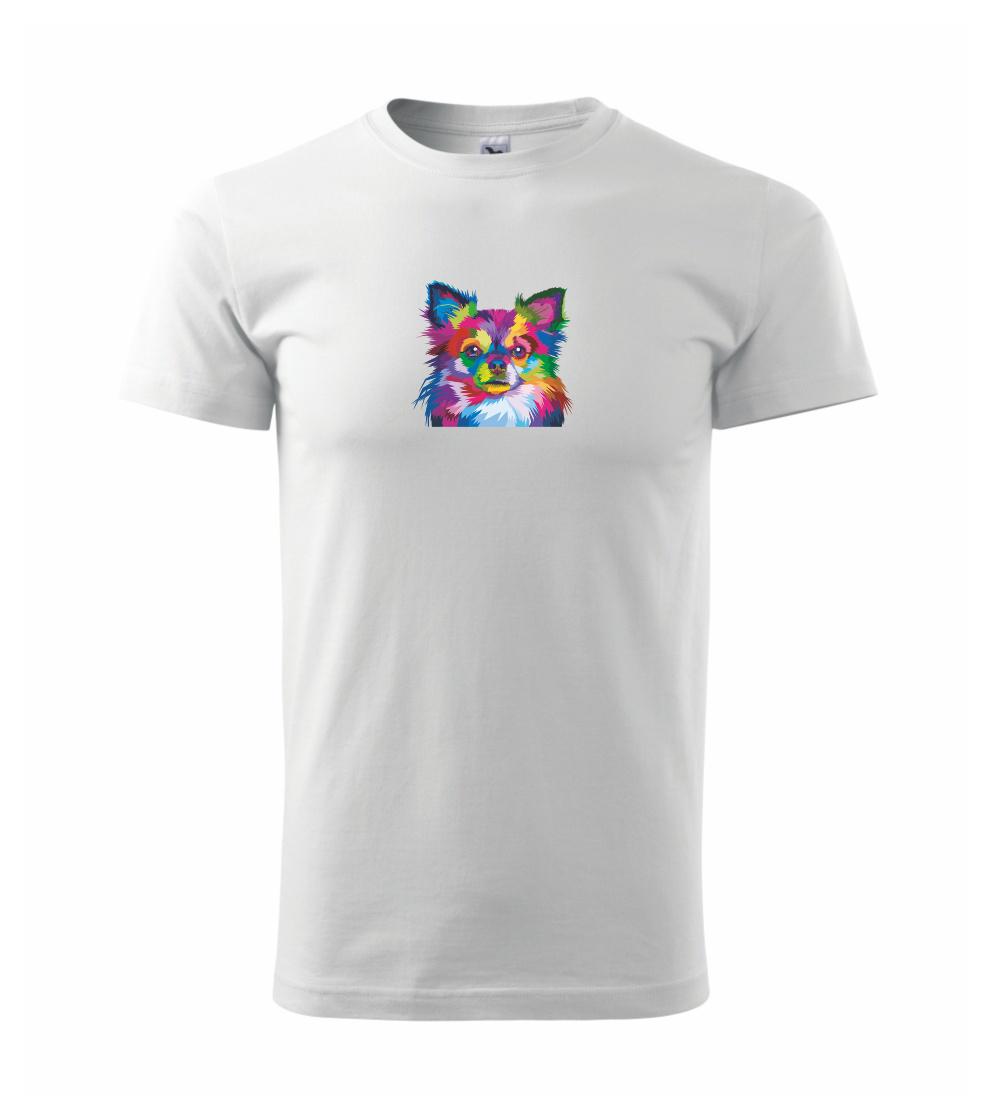 Čivava farebná Čivava farebná