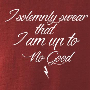 I solemnly swear that I'm up to no good