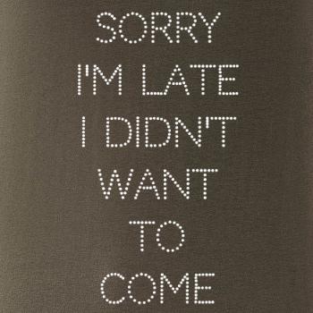Sorry I am late i didn't want to come