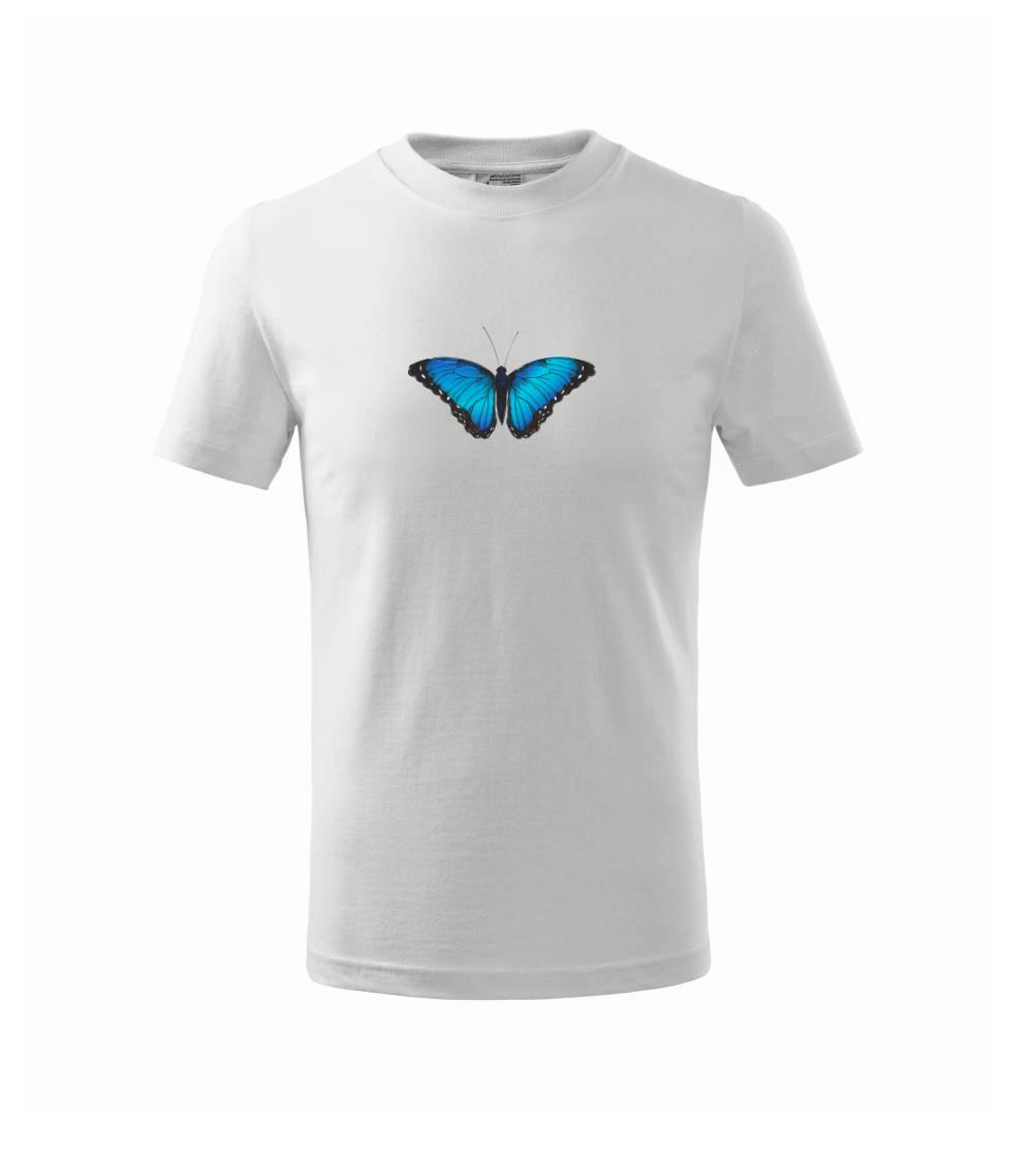 Motýľ Babôčka Morpho Peleides