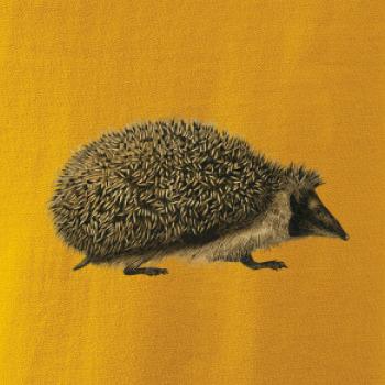 Ježko kresba Ježko kresba