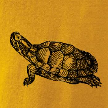 Ceruzkou kreslená korytnačka