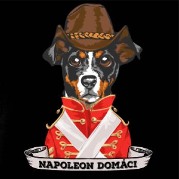 Napoleon domáci kríženec
