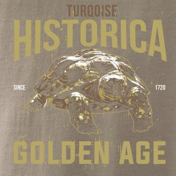 Turtle age Turtle age