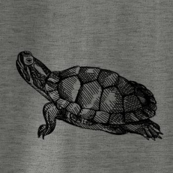 Ceruzkou kreslená korytnačka Ceruzkou kreslená korytnačka