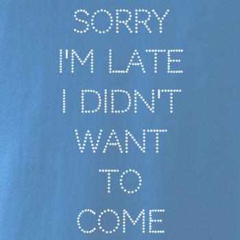 Sorry I am late i didn't want to come