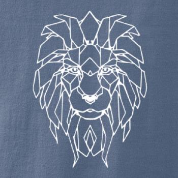 Geometria - lev tvár Geometria - lev tvár