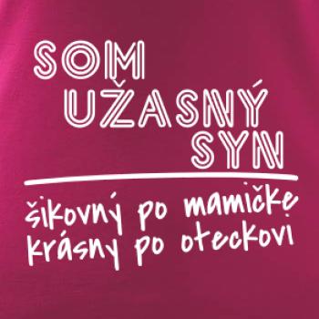 Som úžasný syn