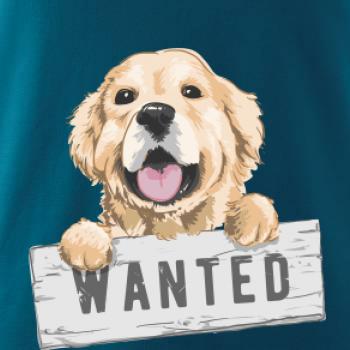 Zlatý retriever - šteniatko wanted Zlatý retriever - šteniatko wanted