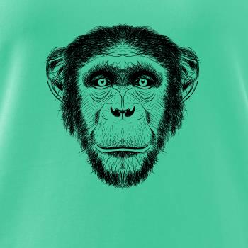 Opica kresba Opica kresba