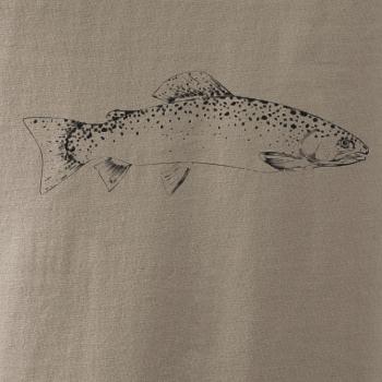 Pstruh duhový rovný