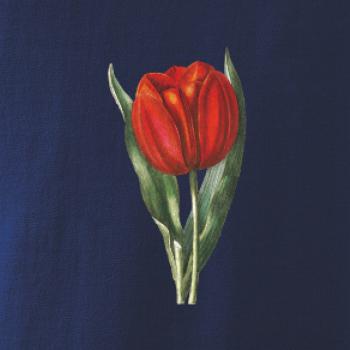 Červený tulipán