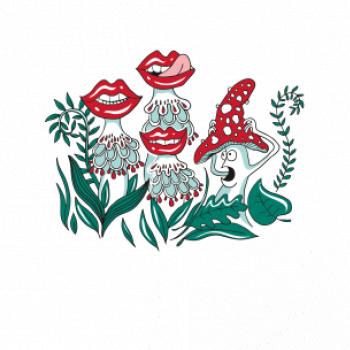 Zmyselné huby (Pecka design)