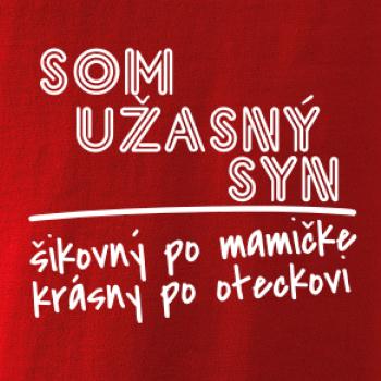 Som úžasný syn Som úžasný syn