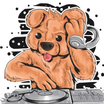 DJ Teddy